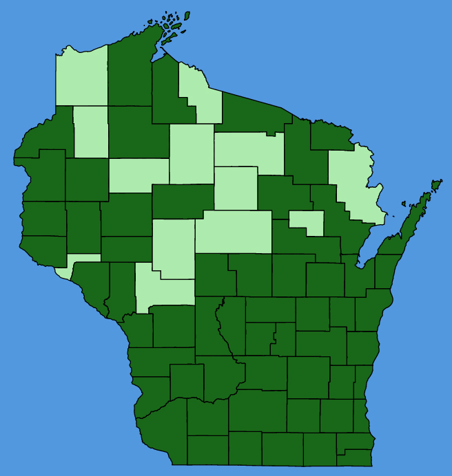 map-wis-Hackelia-virginiana.JPG