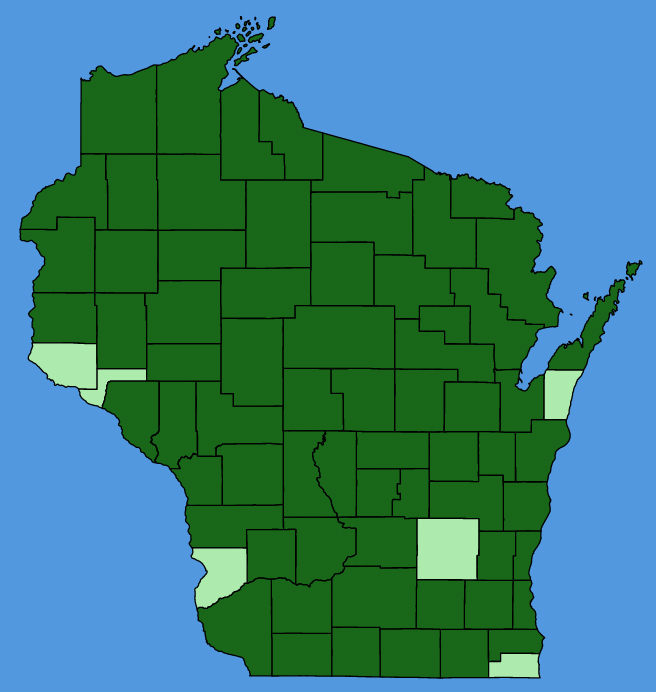 map-wis-Helianthus-giganteus.JPG