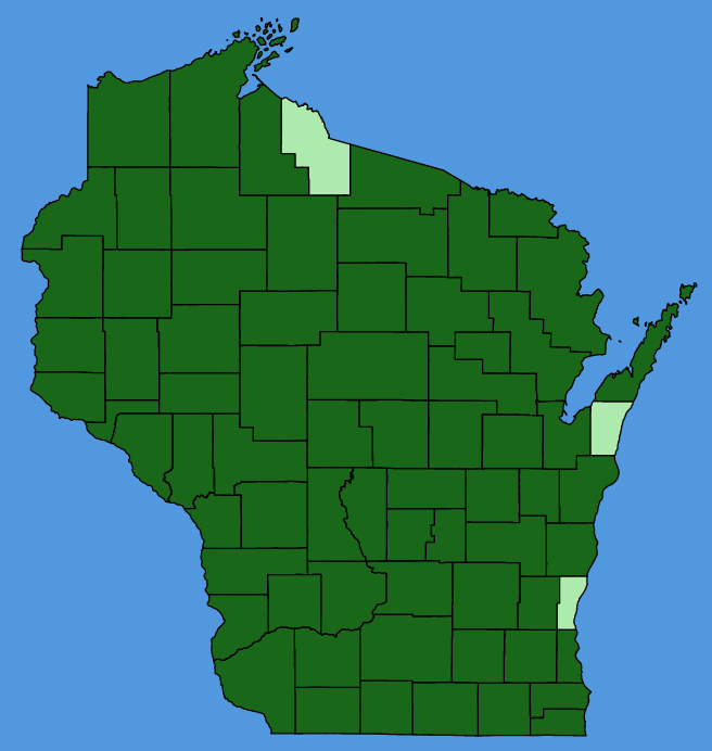 map-wis-Helianthus-strumosus.JPG