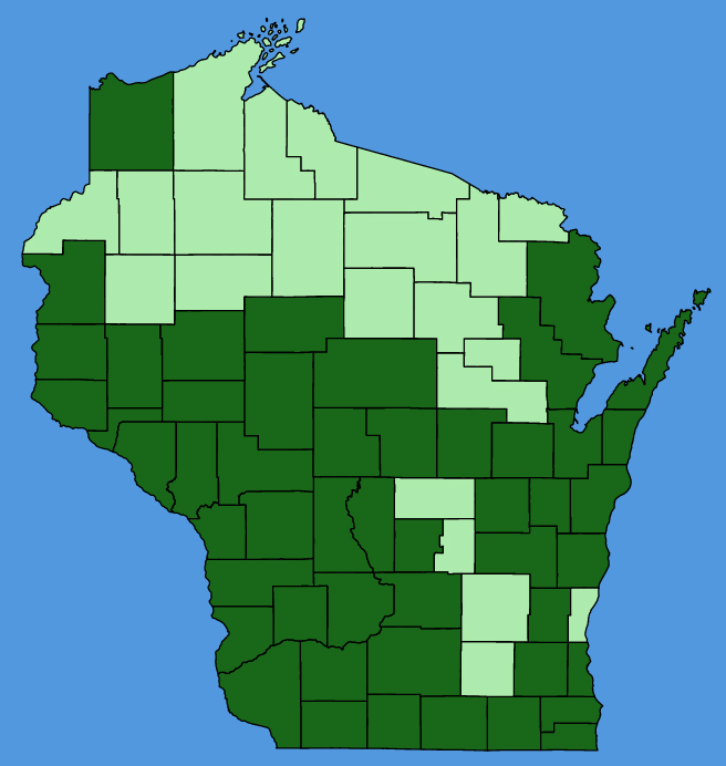 map-wis-Helianthus-tuberosus.JPG
