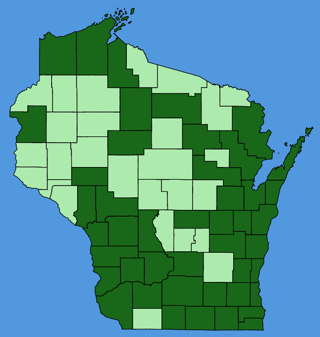 map-wis-Hesperis-matronalis.JPG