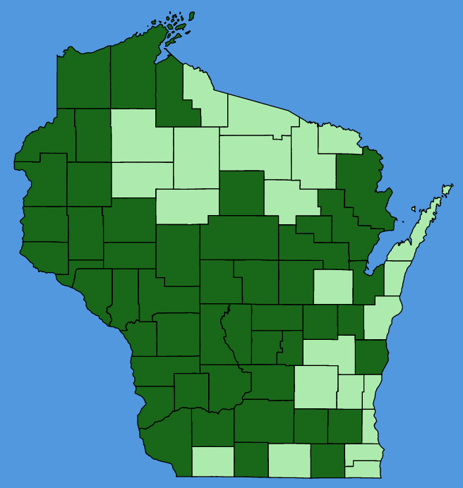 map-wis-Houstonia-longifolia.JPG