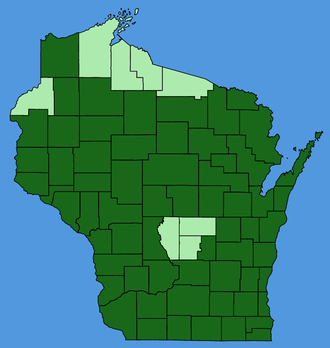 map-wis-Hydrophyllum-virginianum.JPG