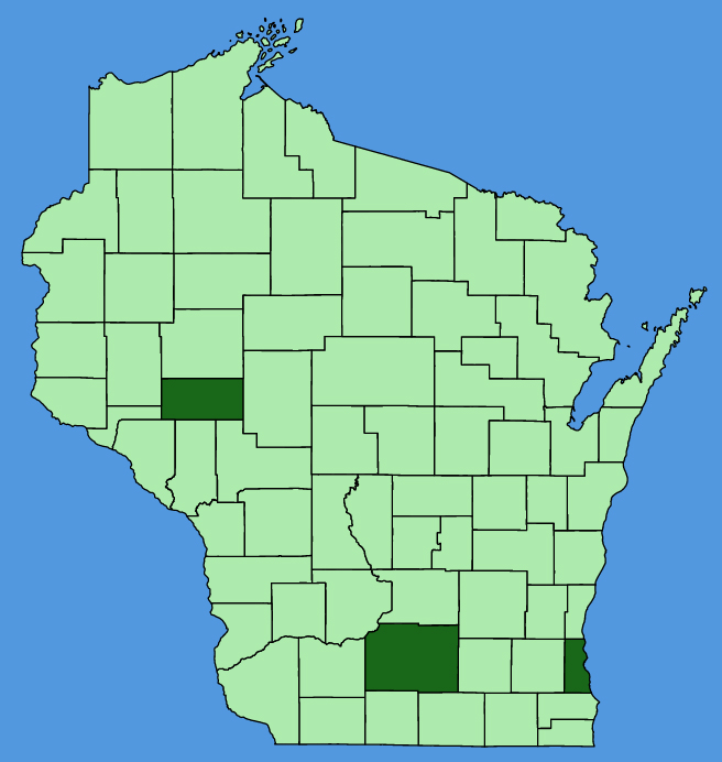 map-wis-Hylotelephium-spectabile.JPG