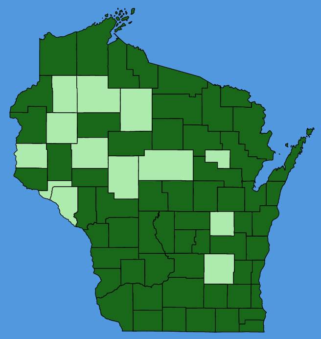 map-wis-Hypericum-perforatum.JPG