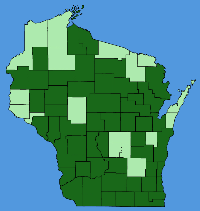 map-wis-Hypericum-punctatum.JPG