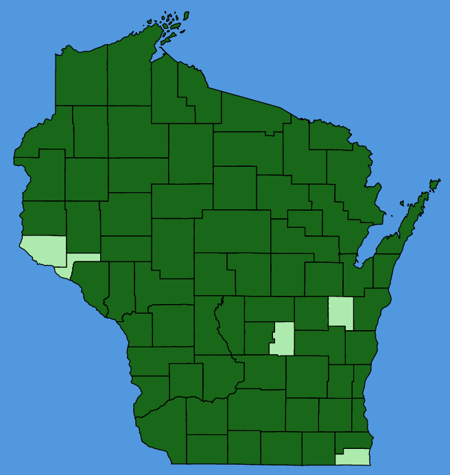map-wis-Ilex-verticillata.JPG