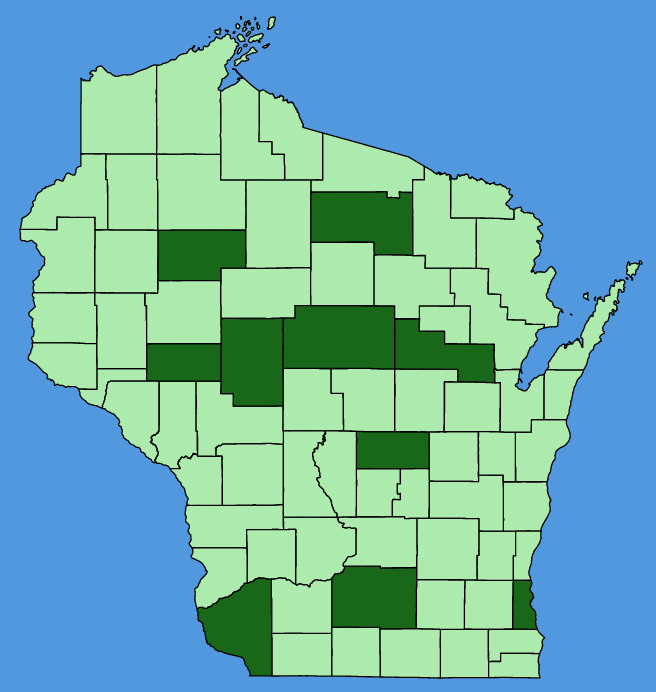 map-wis-Impatiens-balsamina.JPG