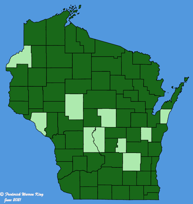 map-wis-Lactuca-biennis.JPG