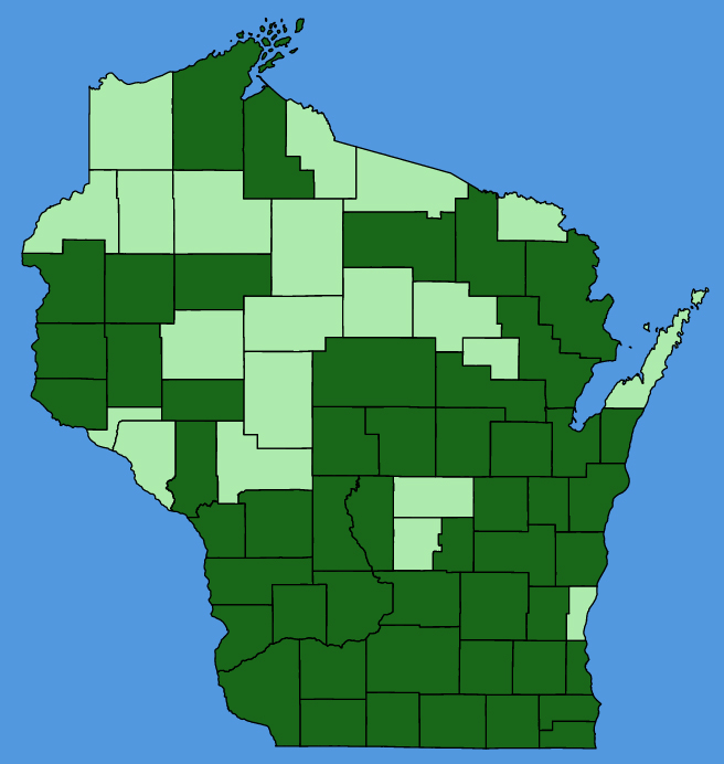 map-wis-Lactuca-serriola.JPG