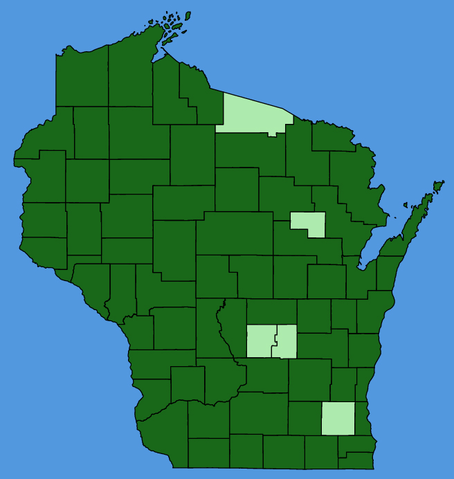 map-wis-Laportea-canadensis.JPG