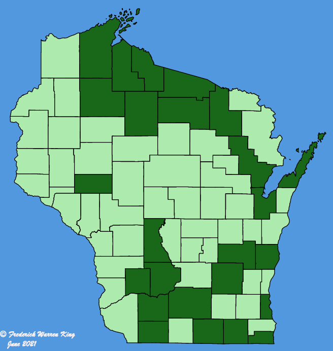 map-wis-Lapsana-communis.JPG