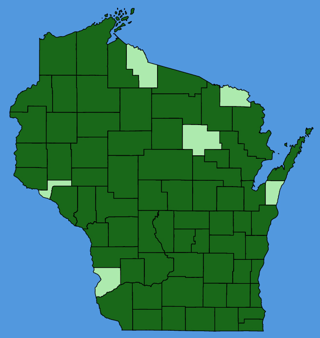 map-wis-Lathyrus-ochroleucus.JPG