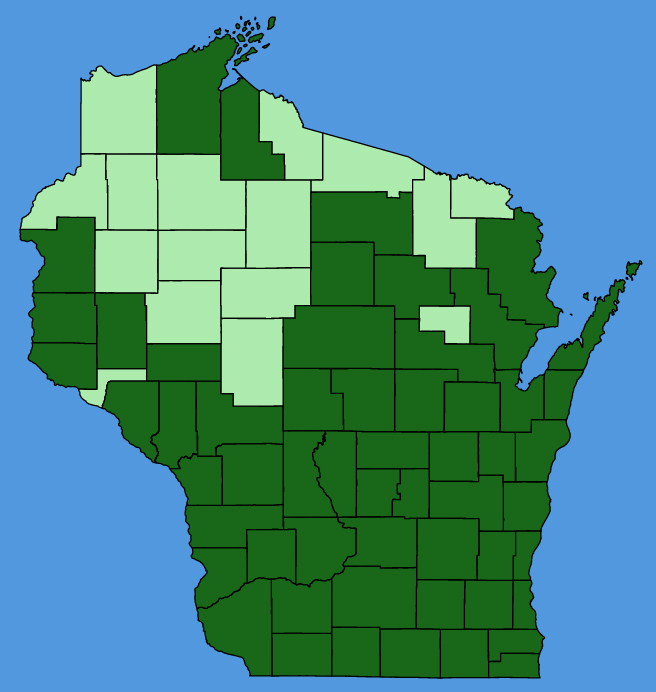 map-wis-Leonurus-cardiaca.JPG