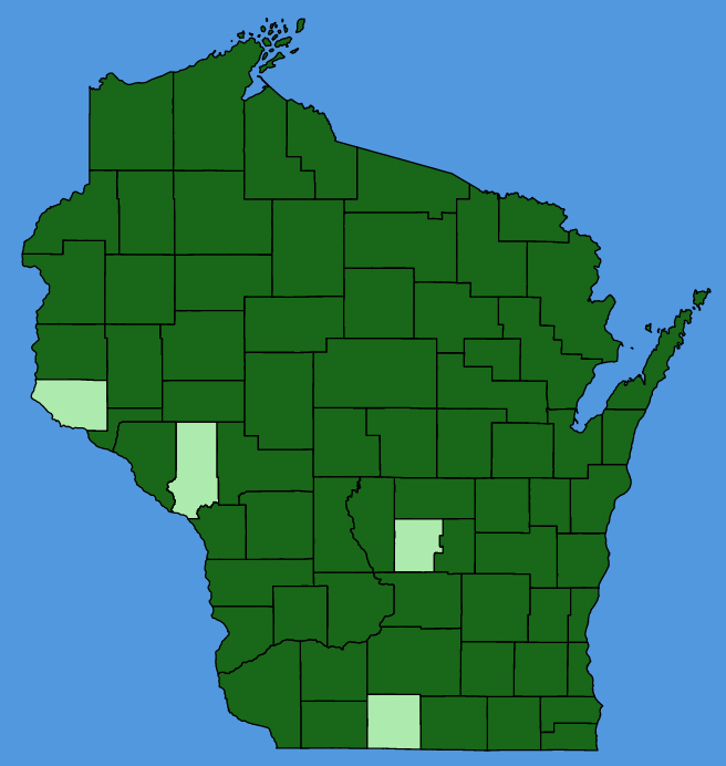 map-wis-Leucanthemum-vulgare.JPG