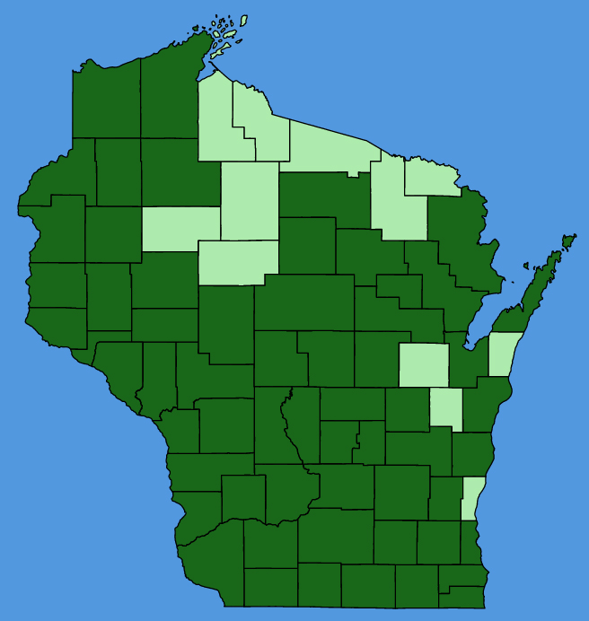 map-wis-Liatris-aspera.JPG
