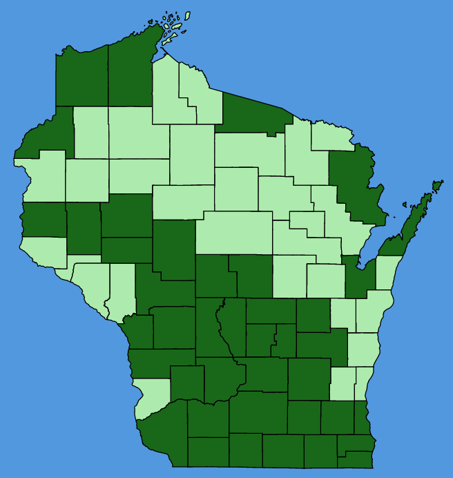 map-wis-Liatris-pycnostachya.JPG
