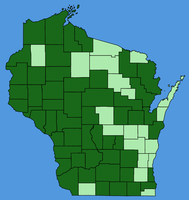 map-wis-Lindernia-dubia.JPG