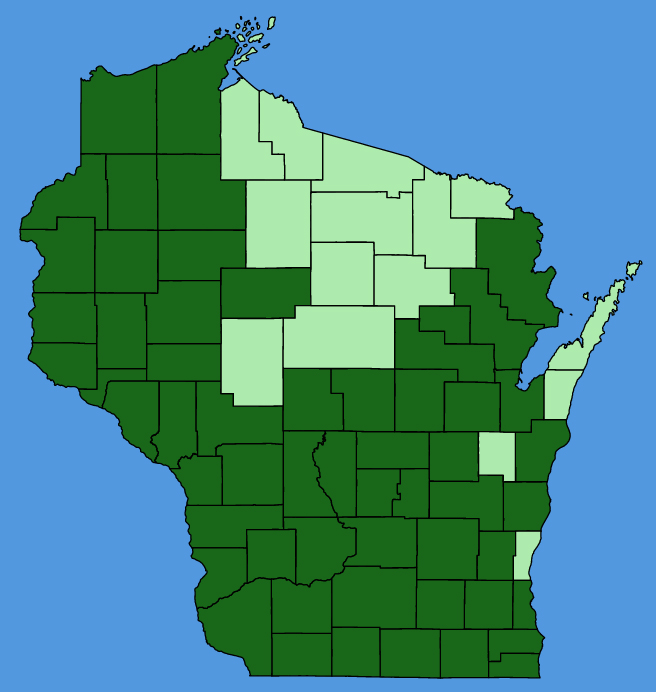map-wis-Lithospermum-canescens.JPG