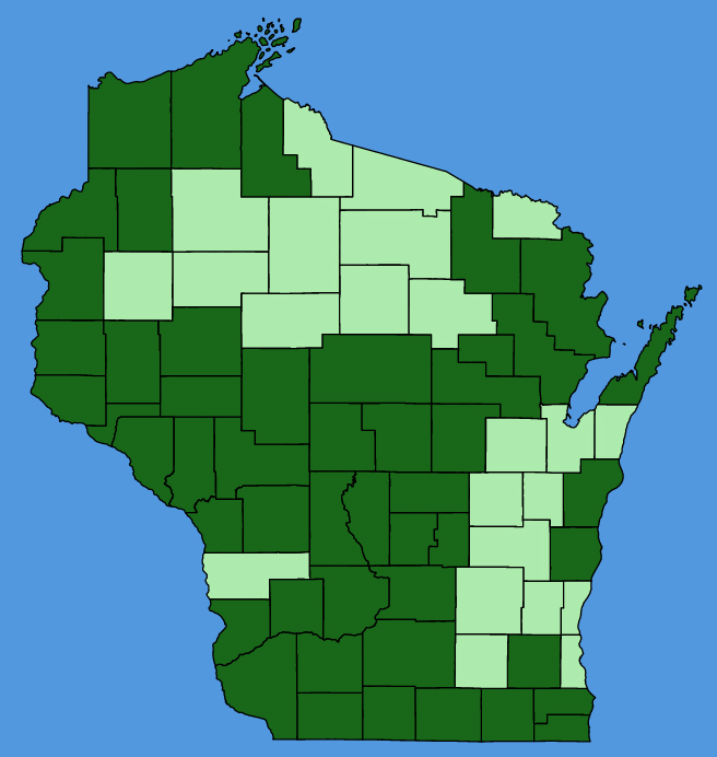map-wis-Lithospermum-caroliniense.JPG