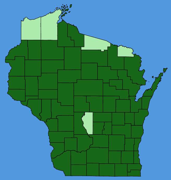 map-wis-Lobelia-siphilitica.JPG