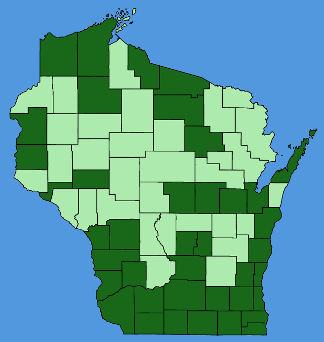 map-wis-Lonicera-morrowii.JPG