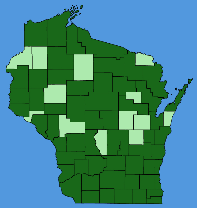 map-wis-Lonicera-tatarica.JPG