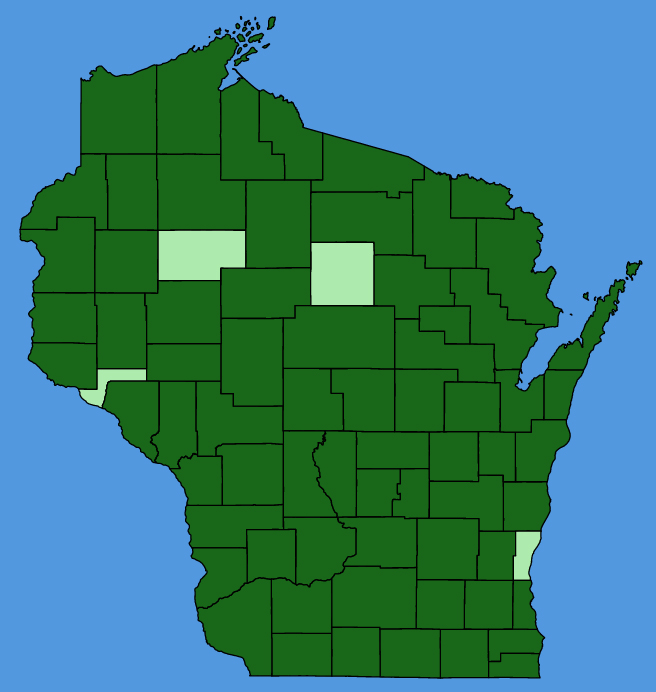 map-wis-Lotus-corniculatus.JPG