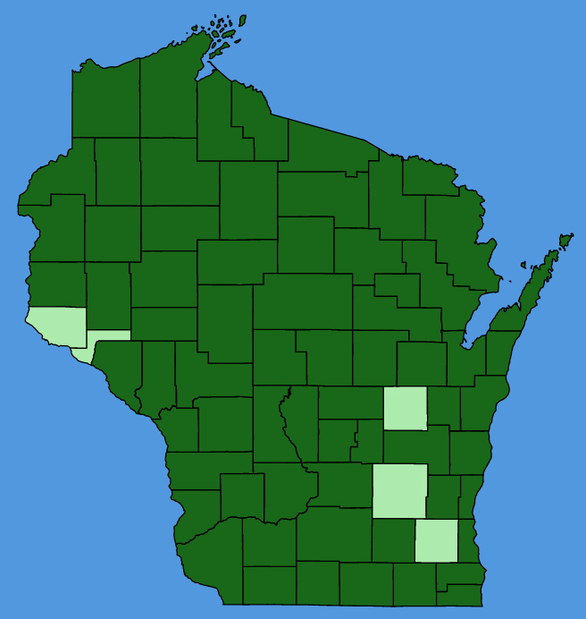 map-wis-Lysimachia-borealis.JPG