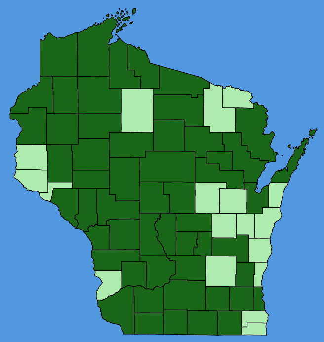 map-wis-Lysimachia-quadrifolia.JPG