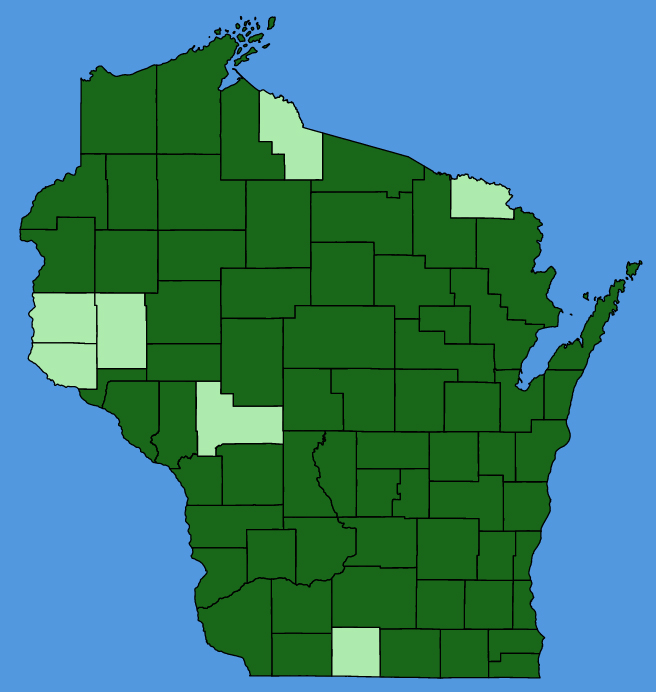 map-wis-Lythrum-salicaria.JPG
