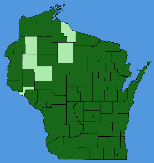 map-wis-Medicago-lupulina.JPG