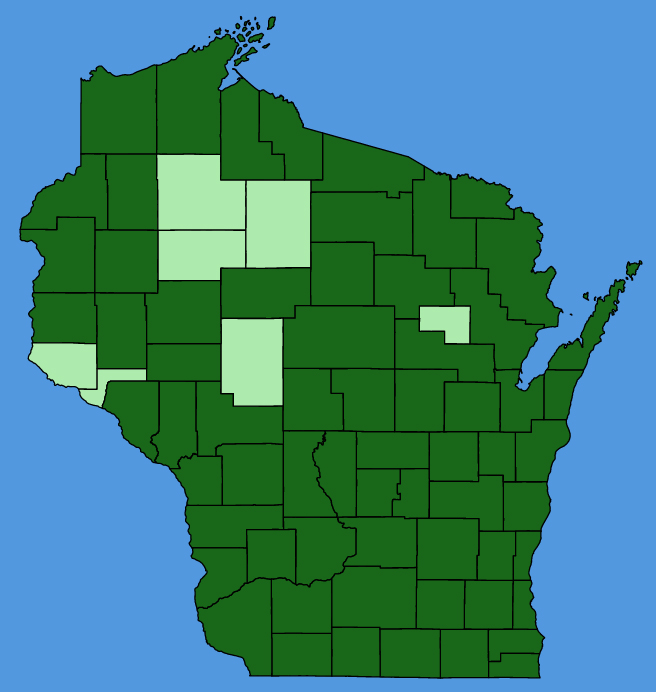 map-wis-Melilotus-albus.JPG