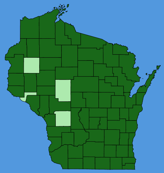 map-wis-Mentha-canadensis.JPG