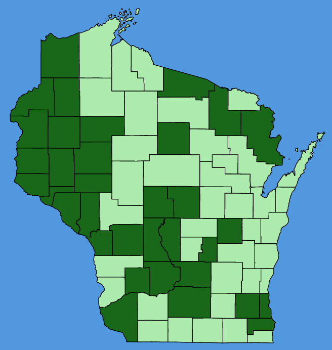map-wis-Mirabilis-albida.JPG