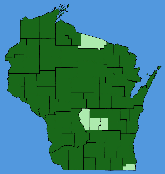 map-wis-Mitella-diphylla.JPG