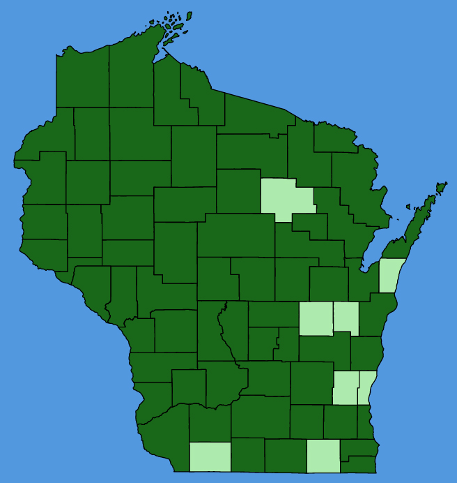 map-wis-Mollugo-verticillata.JPG