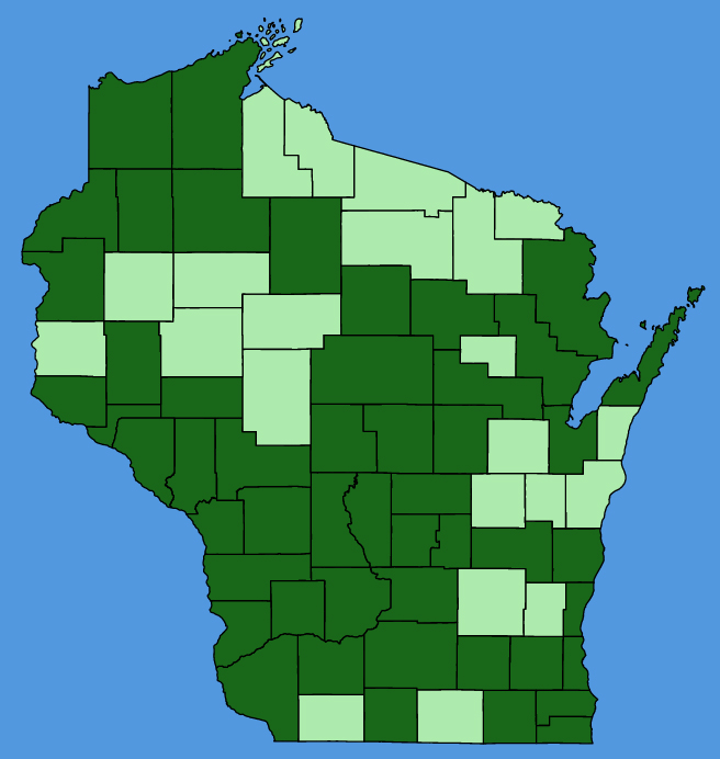 map-wis-Monarda-punctata.JPG
