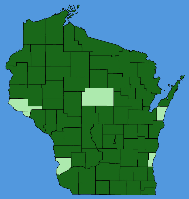 map-wis-Monotropa-uniflora.JPG