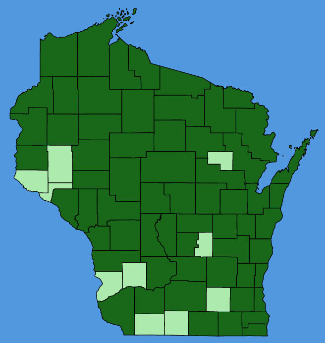 map-wis-Myosotis-scorpioides.JPG