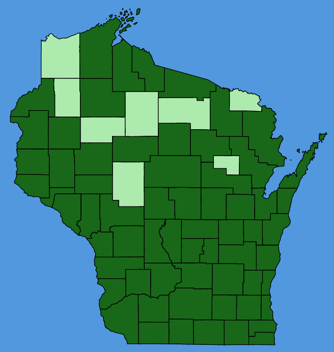map-wis-Nepeta-cataria.JPG