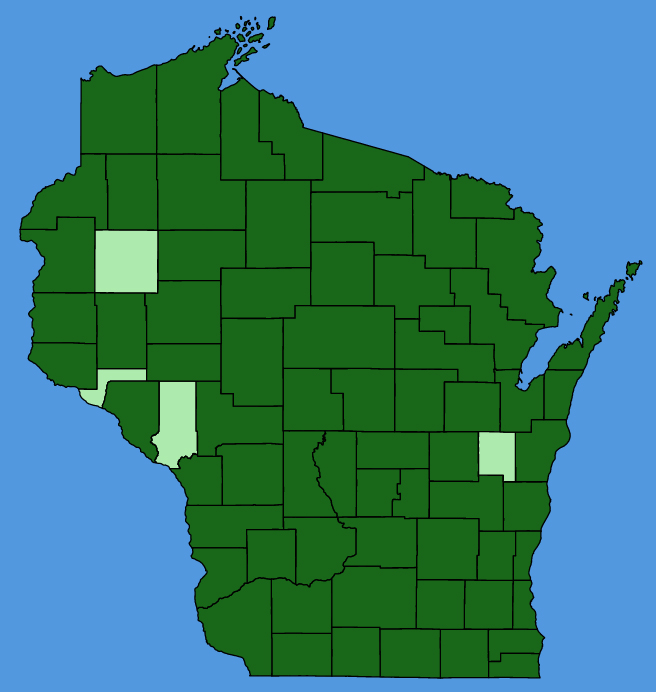 map-wis-Oenothera-biennis.JPG