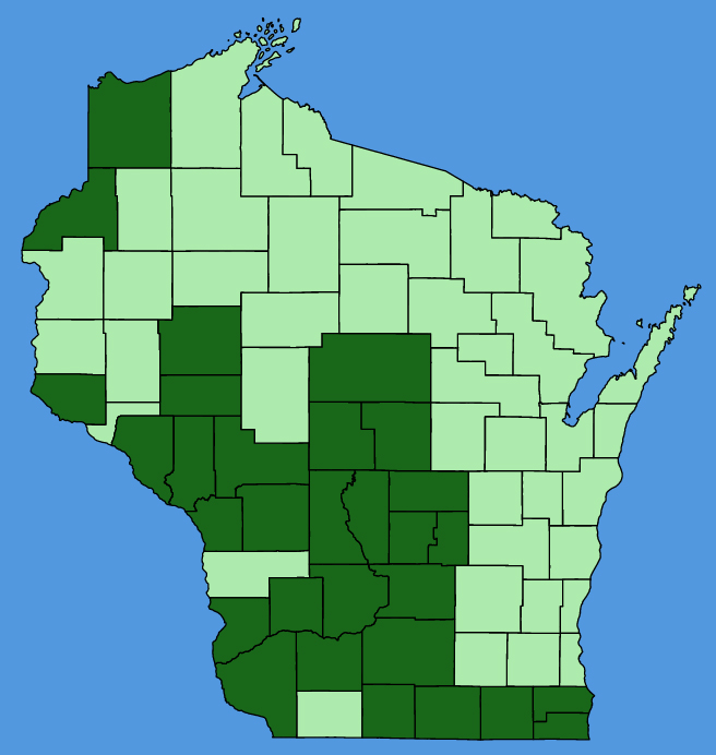 map-wis-Oenothera-clelandii.JPG