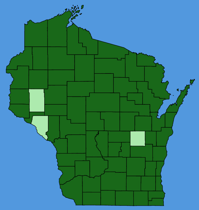 map-wis-Osmorhiza-claytonii.JPG