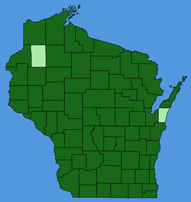 map-wis-Oxalis-stricta.JPG