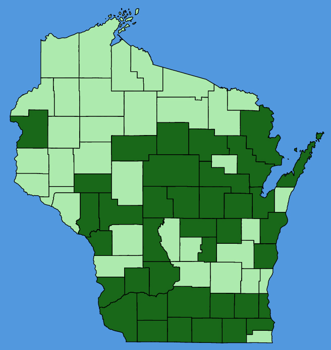 map-wis-Penstemon-digitalis.JPG