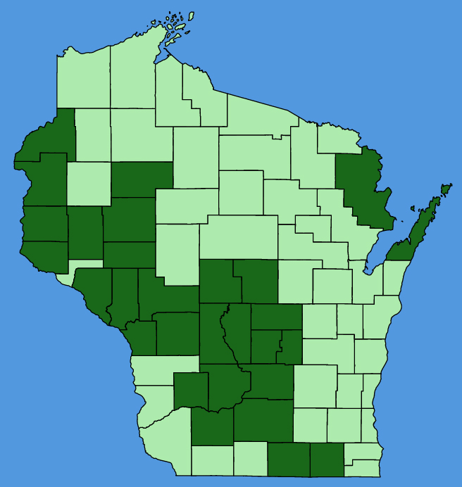 map-wis-Penstemon-gracilis.JPG
