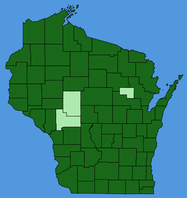 map-wis-Persicaria-lapathifolia.JPG