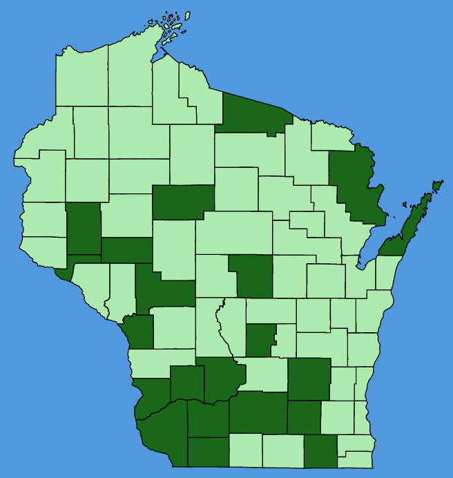 map-wis-Persicaria-longiseta.JPG