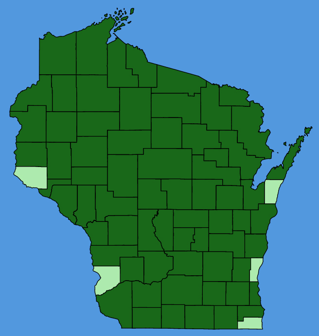 map-wis-Persicaria-sagittata.JPG